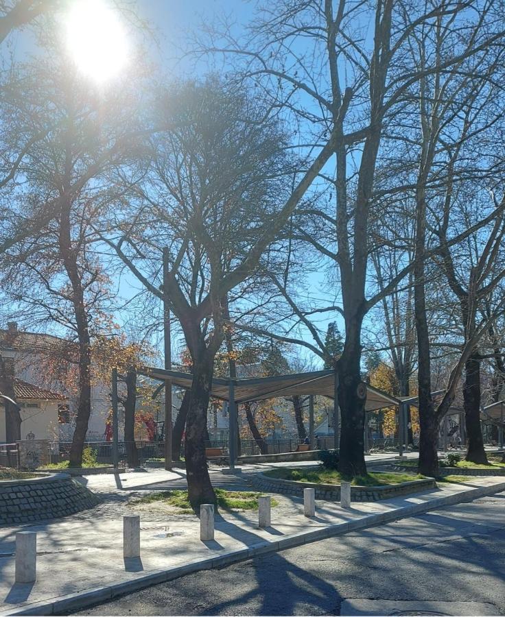 Ferienwohnung Fbm Anagenessis - Ευ Ζην Edessa Exterior foto