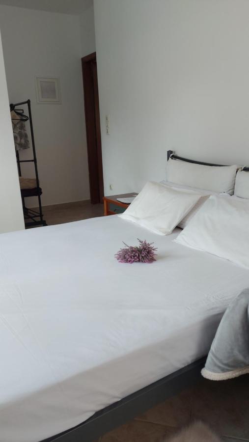 Ferienwohnung Fbm Anagenessis - Ευ Ζην Edessa Exterior foto